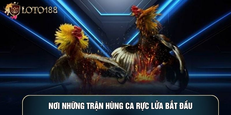 Nơi những trận hùng ca rực lửa bắt đầu Nơi những trận hùng ca rực lửa bắt đầu
