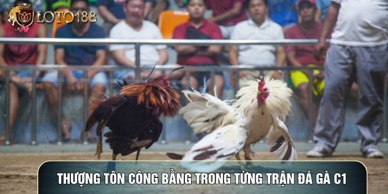 Thượng tôn công bằng trong từng trận Đá gà C1 Thượng tôn công bằng trong từng trận Đá gà C1